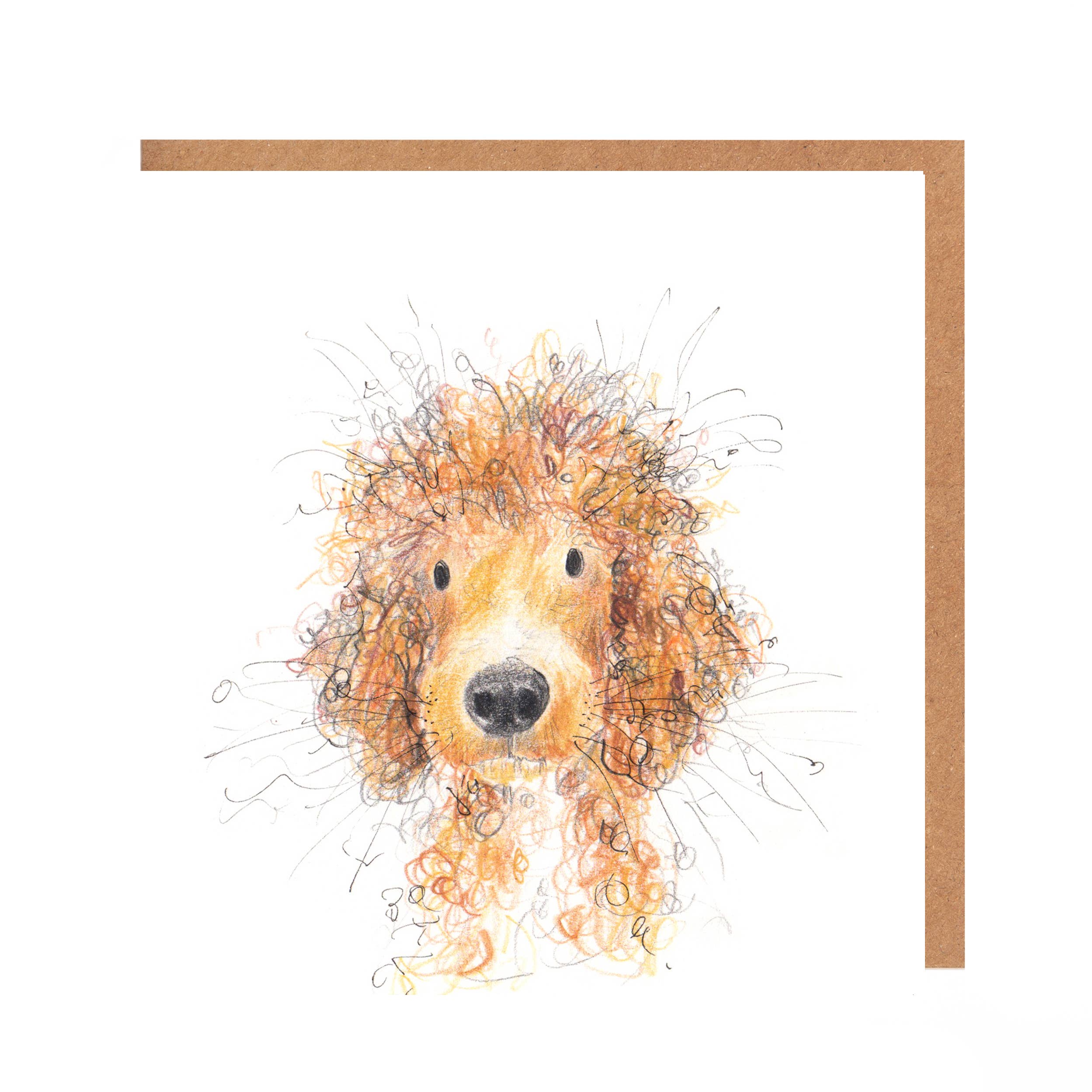 Catherine Rayner - Cosmo Cockapoo Card
