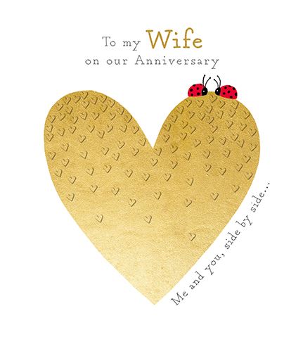 Pick N Mix Wife Ladybird Anniversary Card