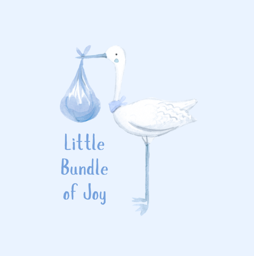 Petimo - Blue Little Bundle of Joy Stork New Baby Boy Card