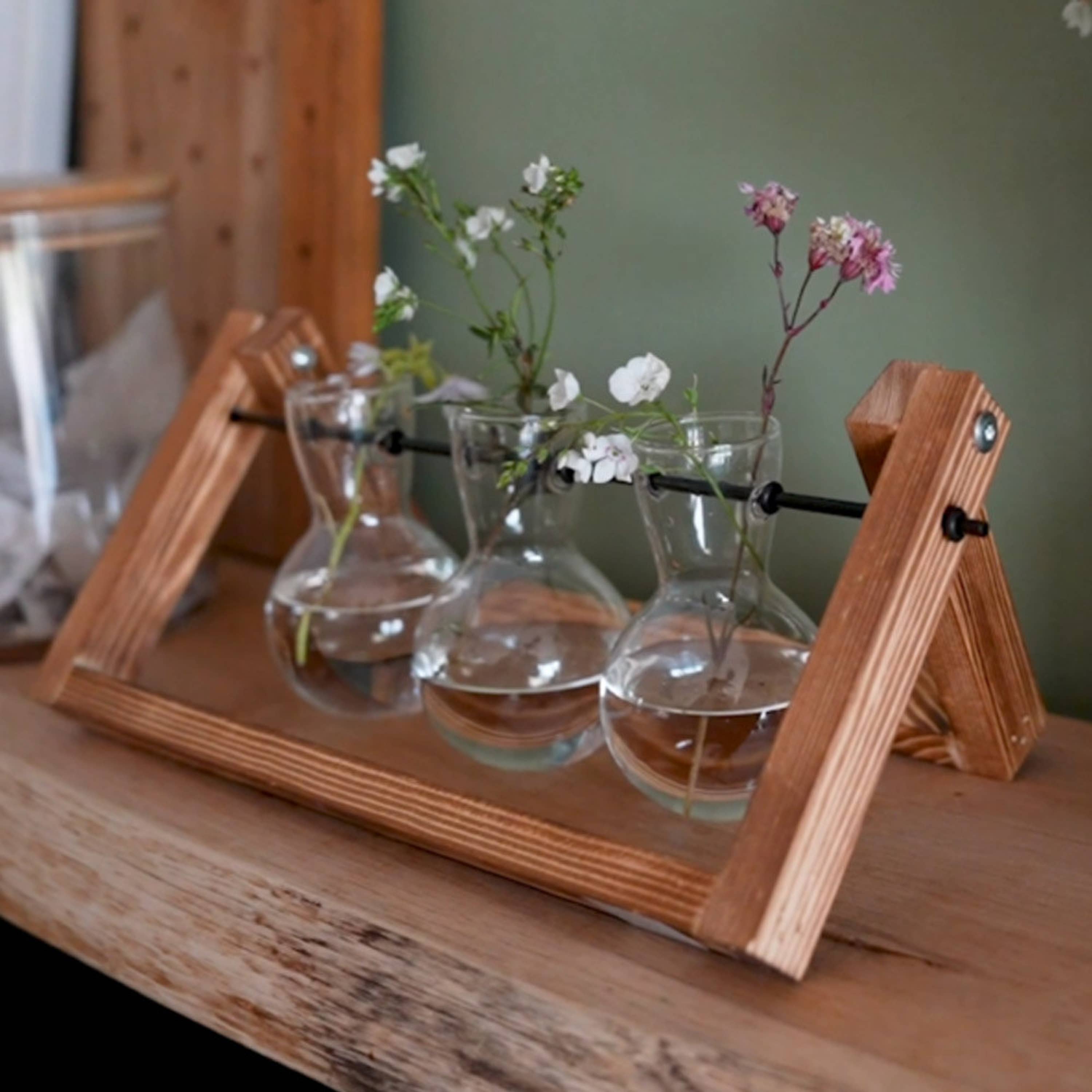 Propagation Vases