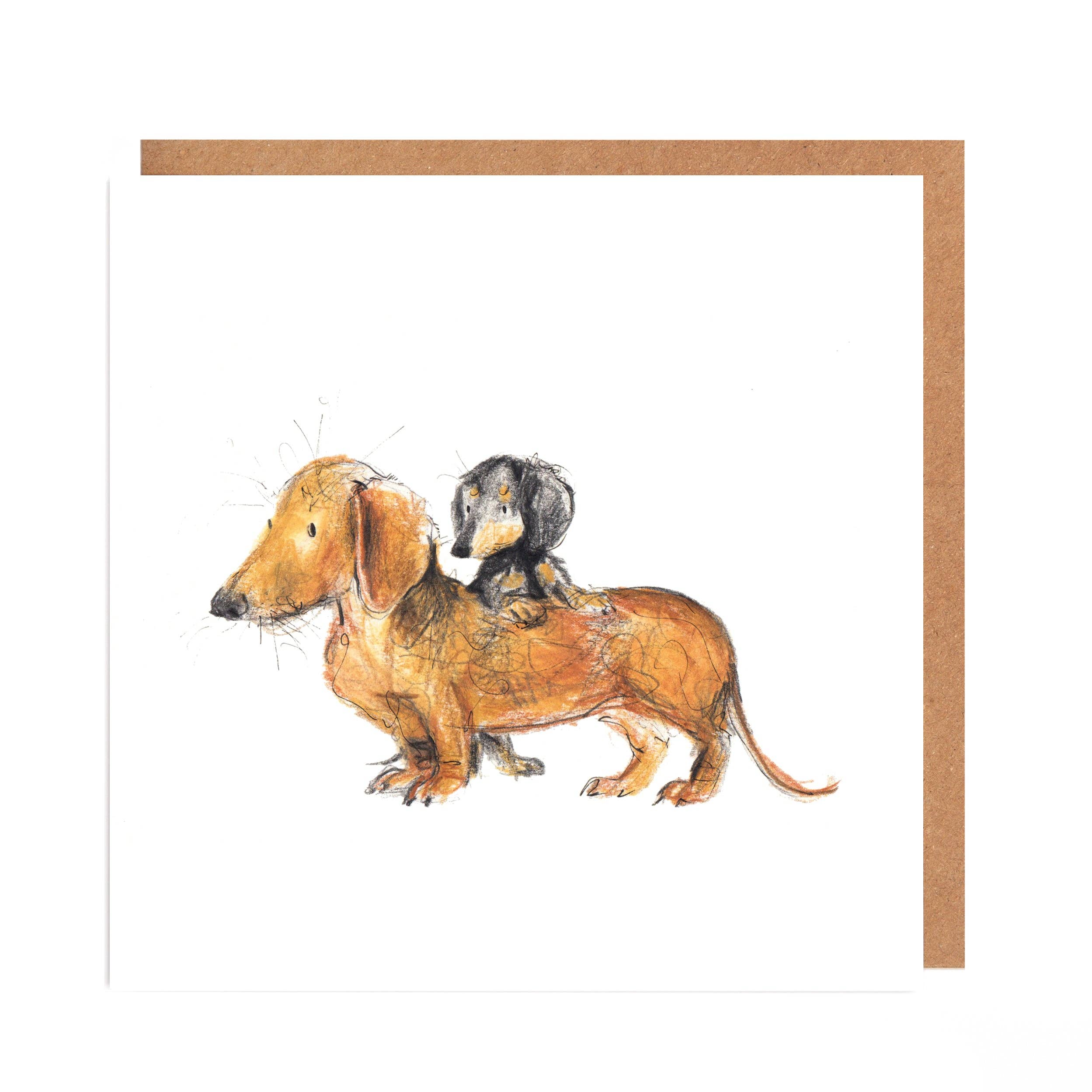 Catherine Rayner - Matilda and Robyn Dachshund Card