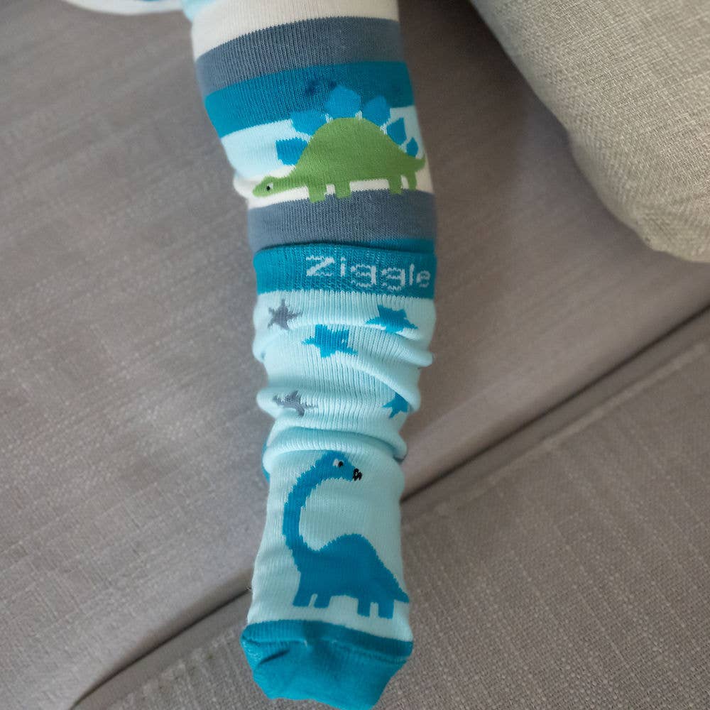 Ziggle Baby - Dinosaur Boxed Sock Set: 0-6 Months