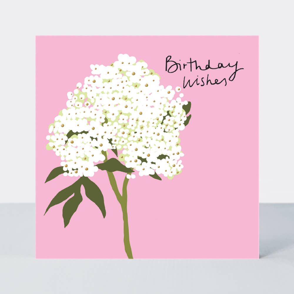 Field Day - Hydrangea Birthday Wishes Card