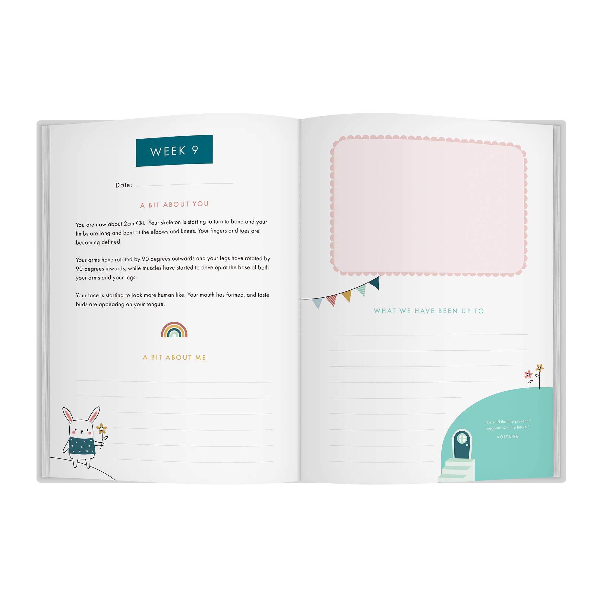 FROM YOU TO ME Meaningful Gifts - Bump to Birthday Pregnancy Journal | Pregnancy Keepsake