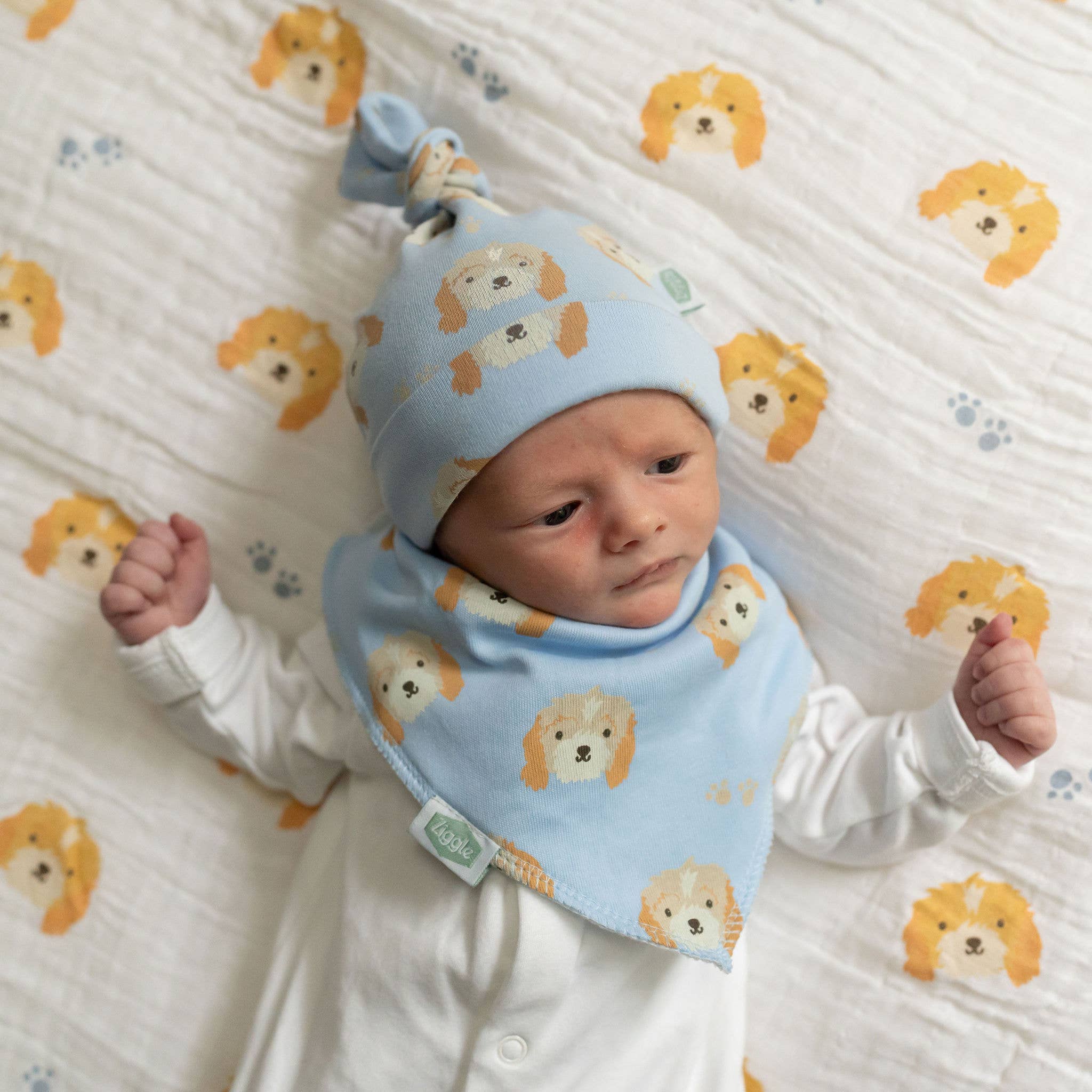 Ziggle Baby - Cockapoo puppy print bib