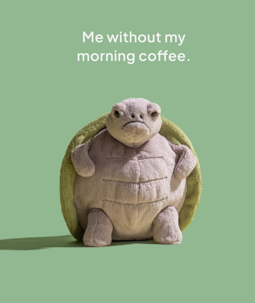 Jellycat Timmy Turtle - 'Me without my morning coffee.'