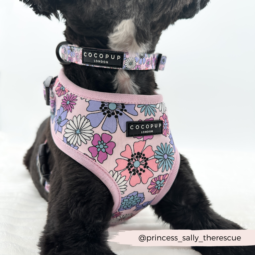 Cocopup London Dog Collar - Pastel Flowers