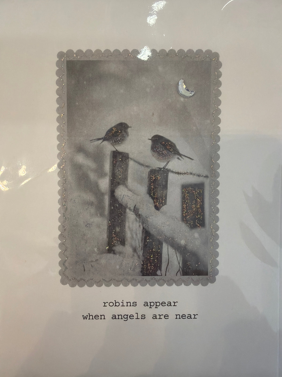 Five Dollar Shake - Robins Appear When Angels are near Christmas Card