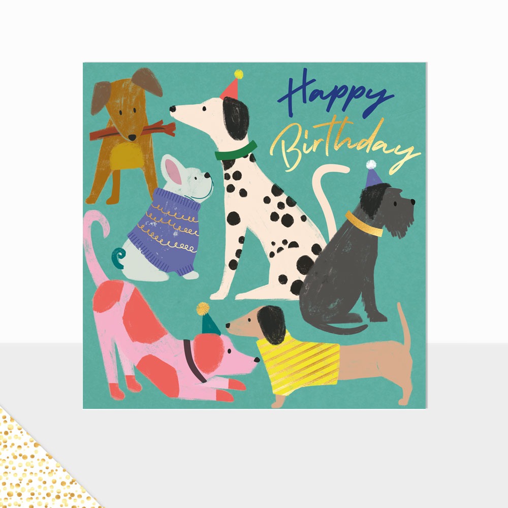 Aurora Dogs Birthday Card