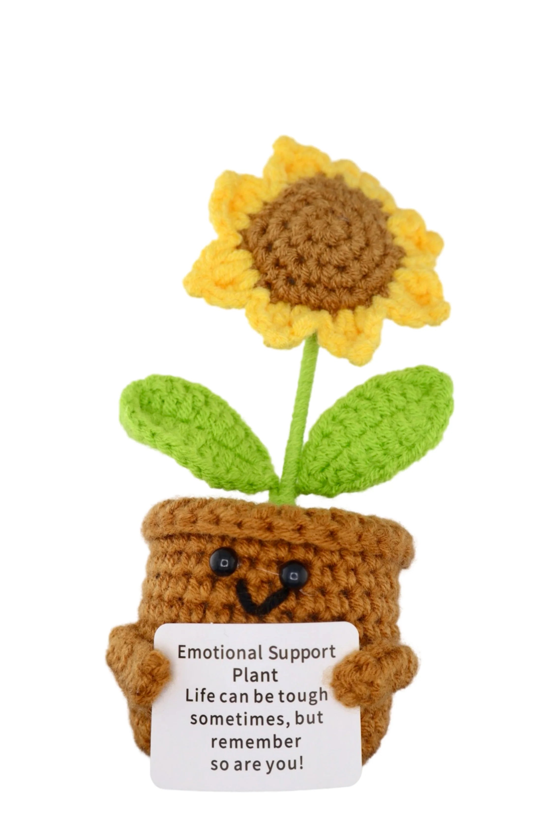 Positive Plant Sunflower