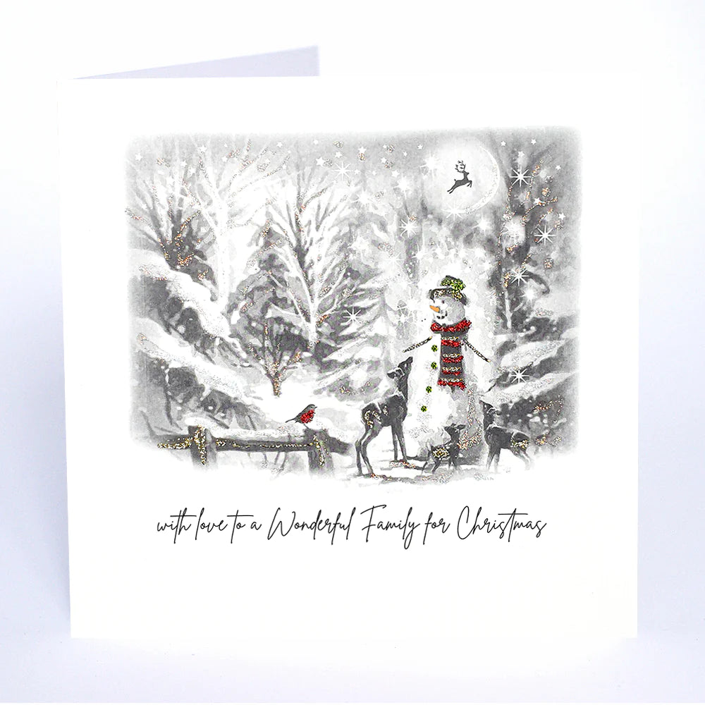 Five Dollar Shake - Wonderful Family Christmas Card