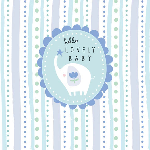 Belly Button Mabel Hello Lovely Baby (Blue) Card - More Than Just a Gift | Narborough Hall