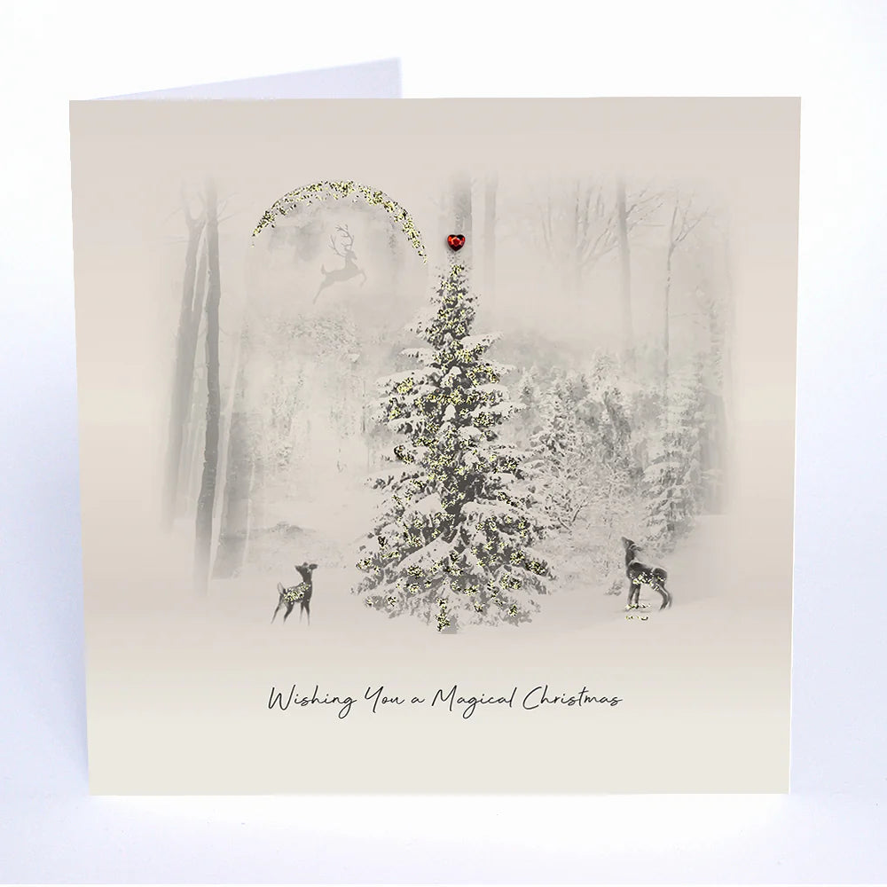 Five Dollar Shake Christmas - Wishing You a Magical Christmas