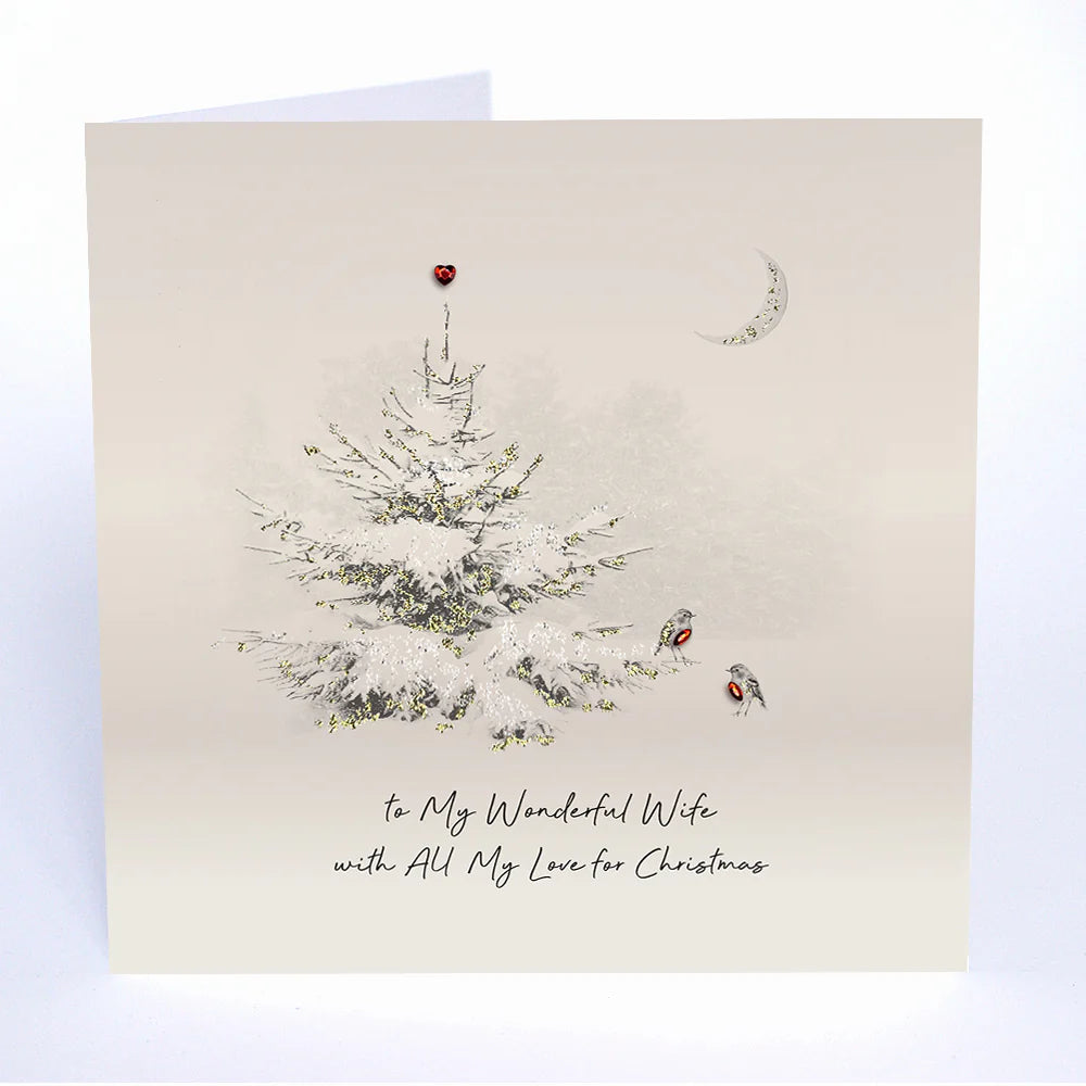 Five Dollar Shake Christmas - To My Wonderful Wife with All My Love for Christmas
