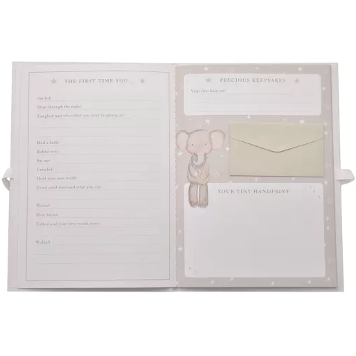 Bambino Baby's Record Book