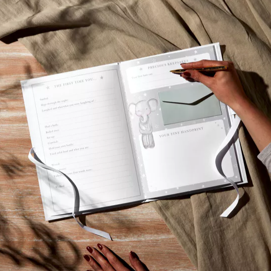 Bambino Baby's Record Book