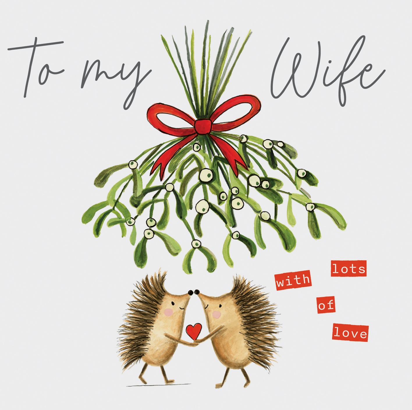 To My Wife With Lots Of Love - Hedgehogs Holding Hands Under Mistletoe Card