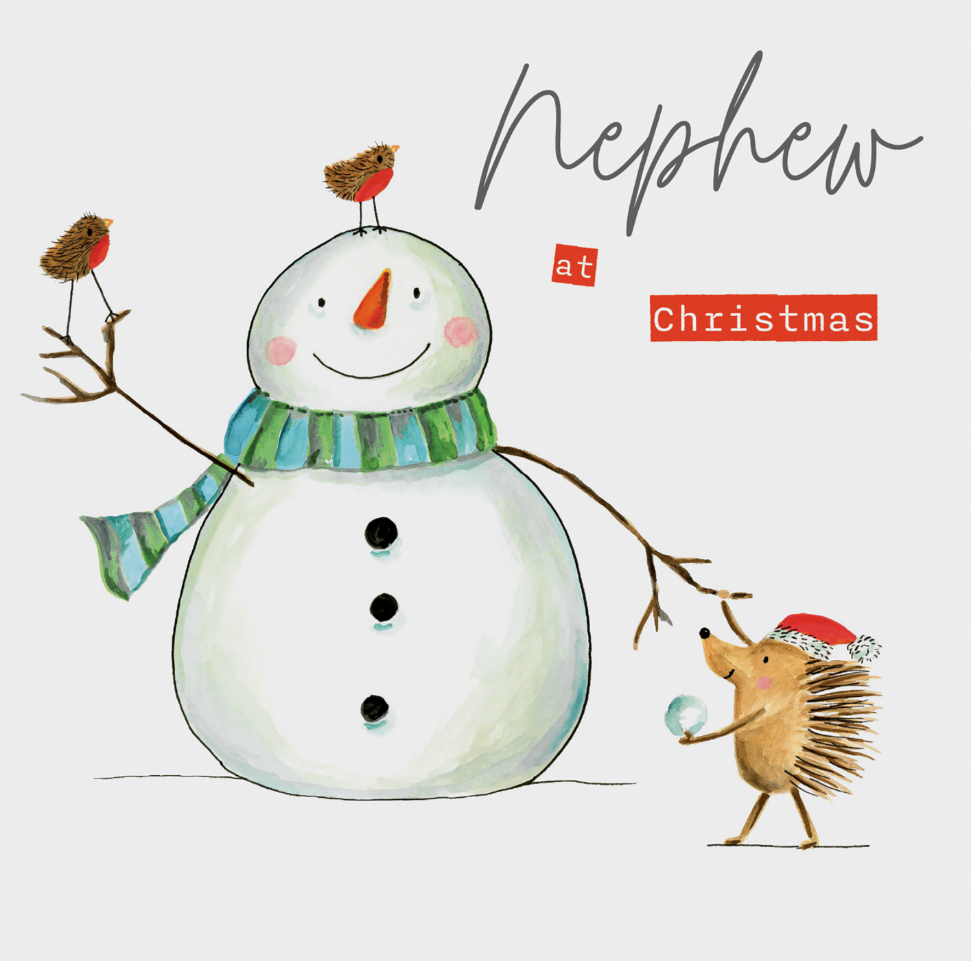 Nephew At Christmas - Snowman With Hedgehog/Snowball Card