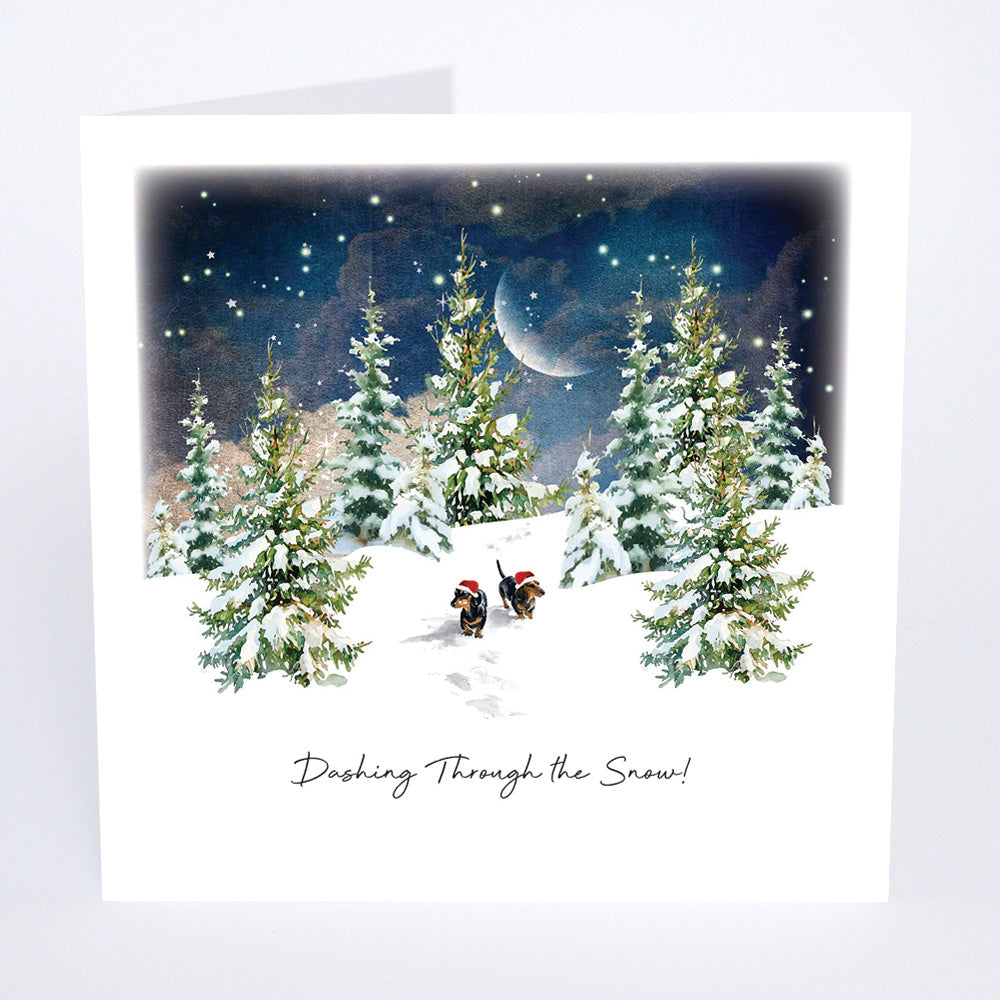 Five Dollar Shake Dashing Through The Snow! Christmas Card