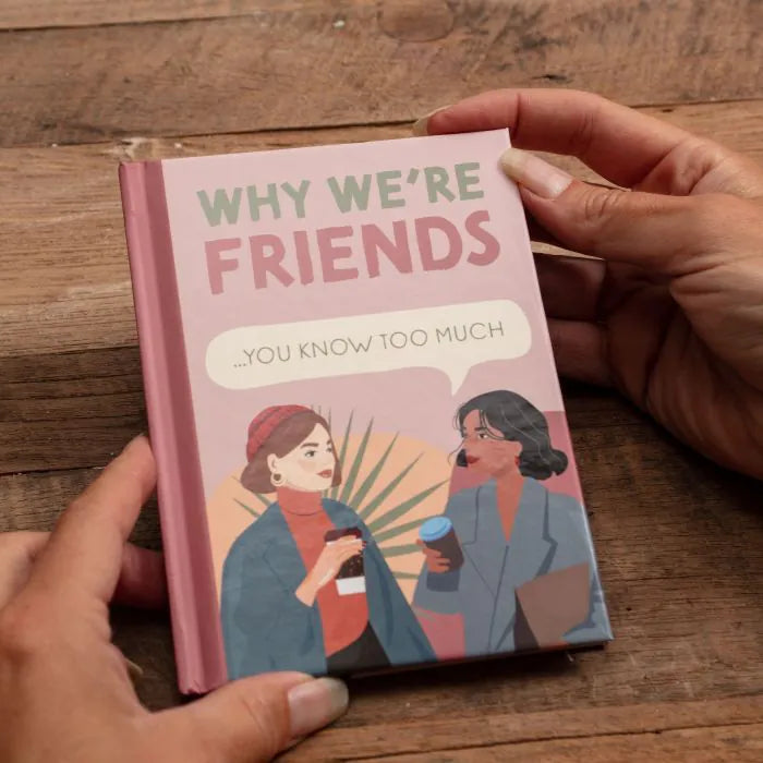 Why We're Friends Book