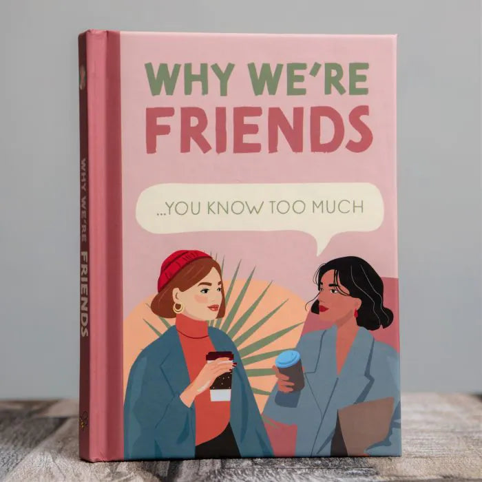 Why We're Friends Book