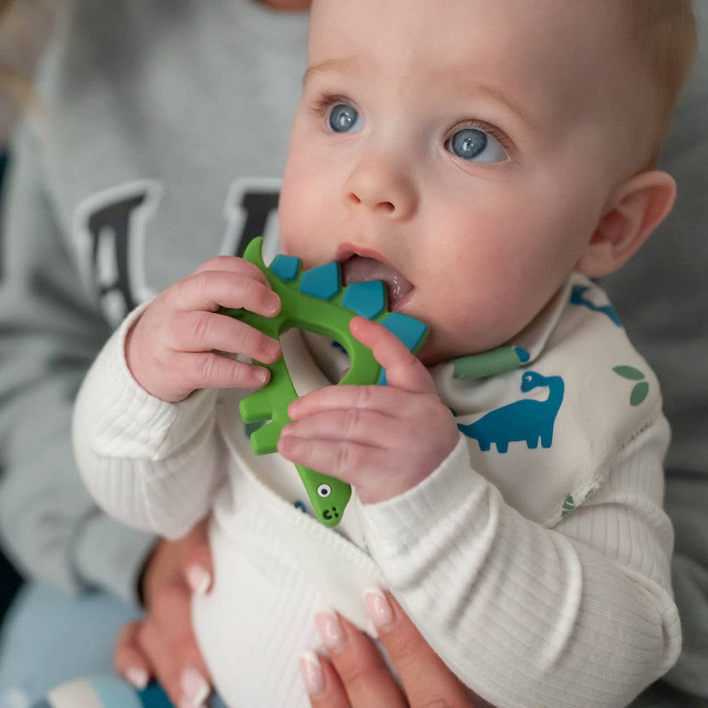 Ziggle Baby - Dinosaur Teether Silicone