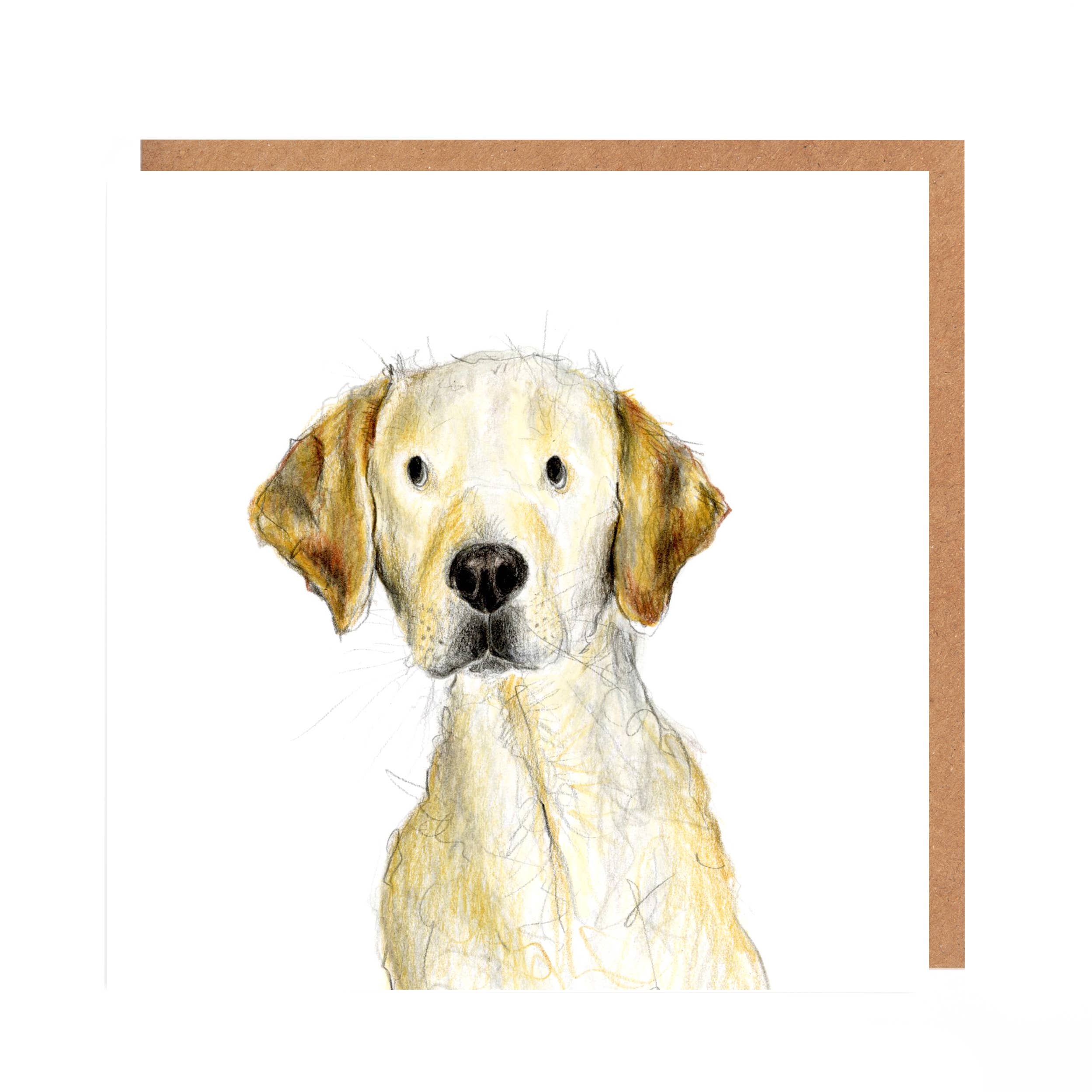 Catherine Rayner - Fenton Golden Retriever Card