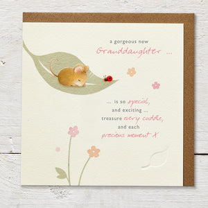 Ginger Betty New Granddaughter Card - More Than Just a Gift | Narborough Hall