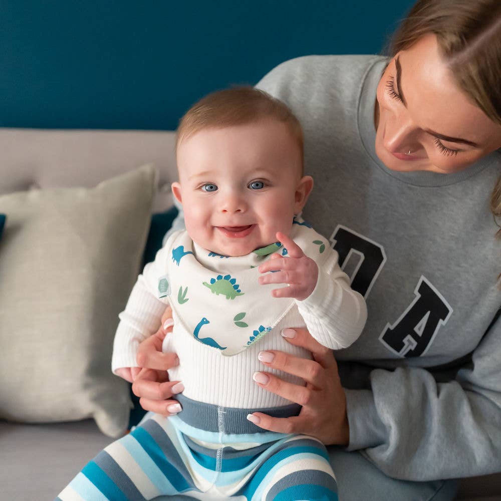 Ziggle Baby - Dino print bib