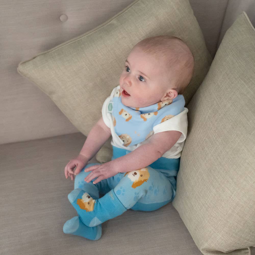 Ziggle Baby - Cockapoo puppy print