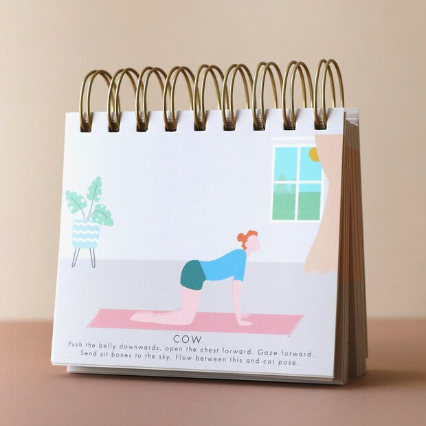 Lisa Angel Daily Yoga Poses Desktop Flip Chart