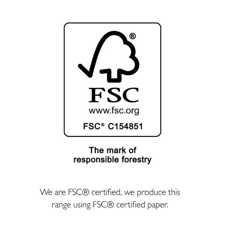 The Unique Paper Company - Eco-friendly FSC™ sustainable Vintage Christmas Gift Bags: Large