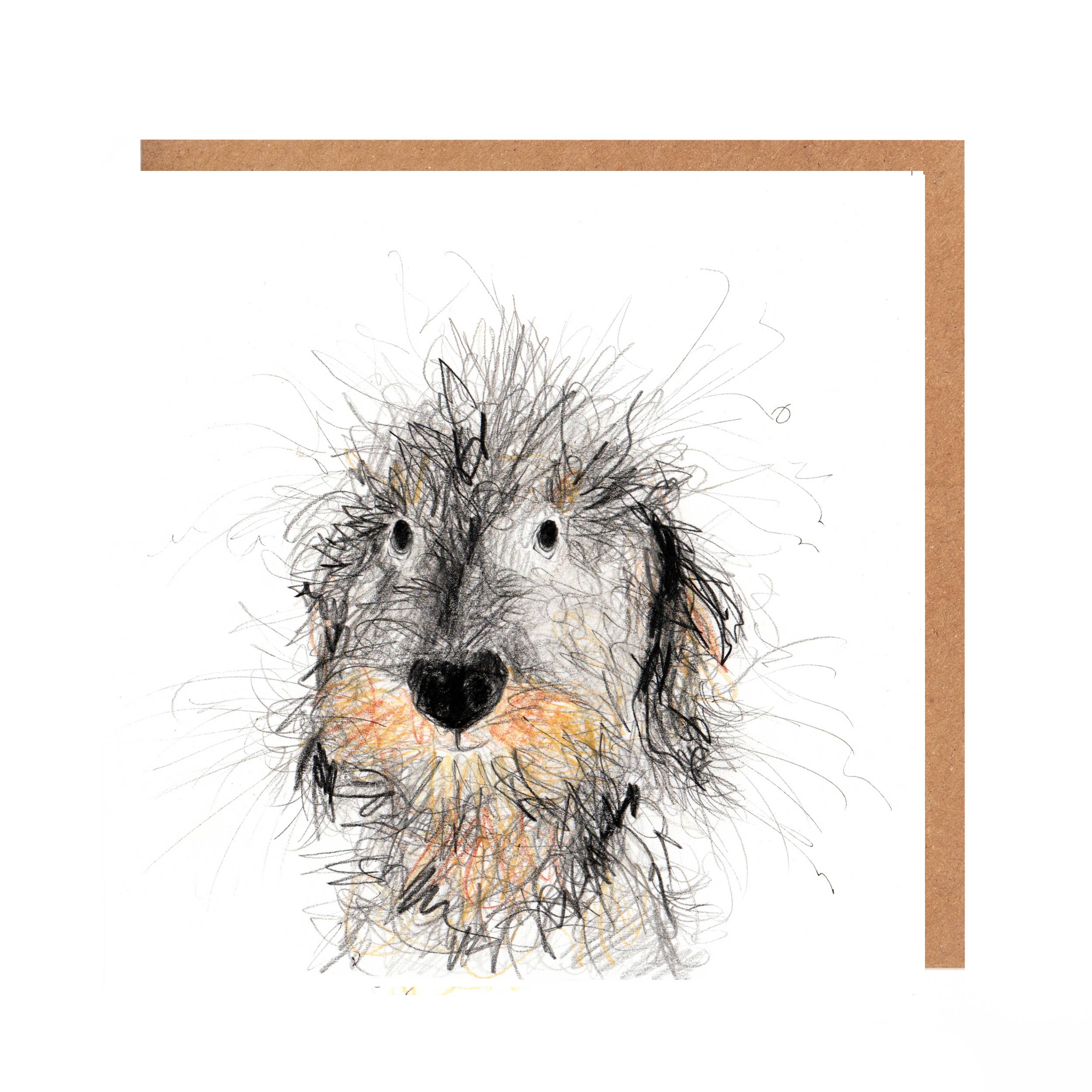 Catherine Rayner - Norma Wire Haired Dachshund Card