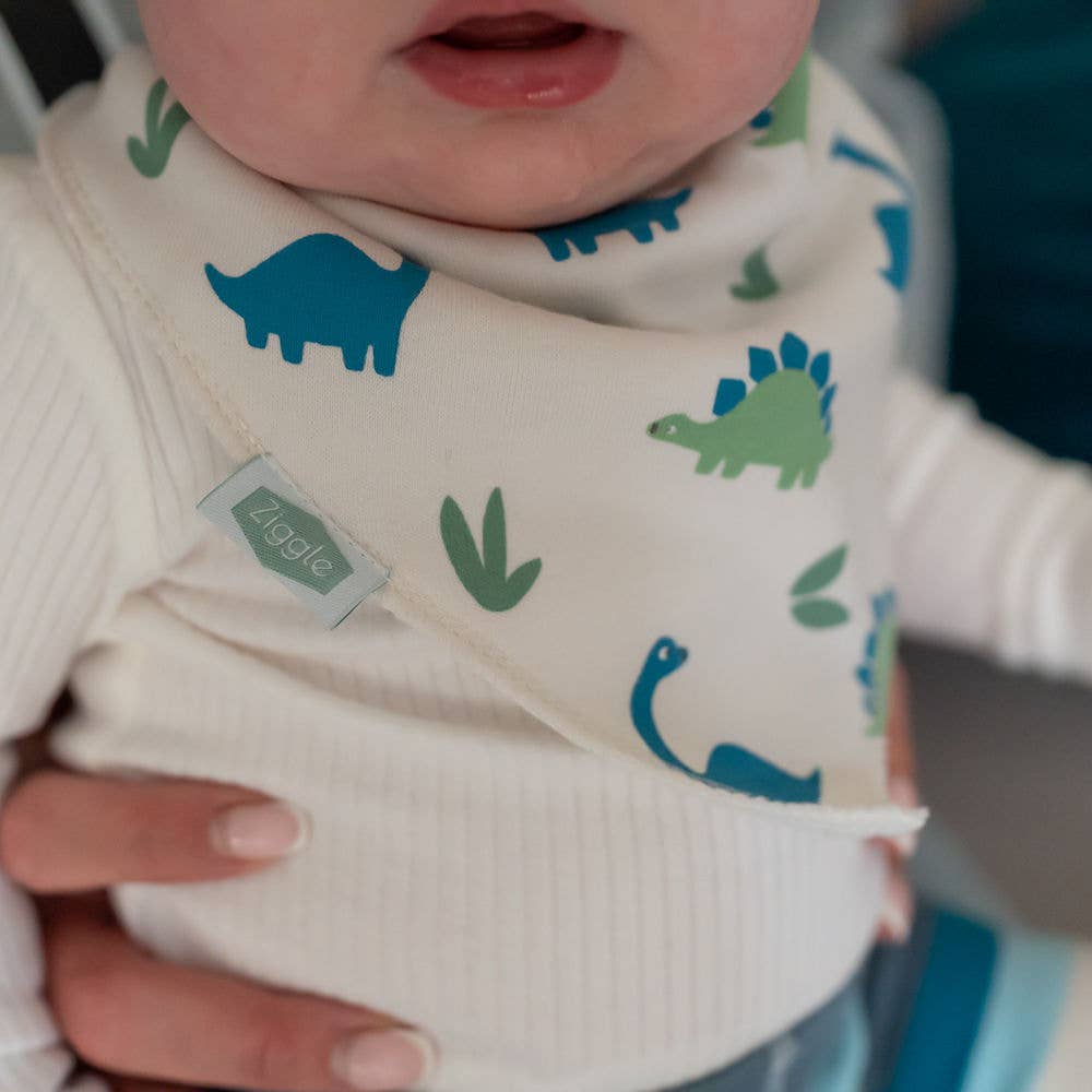 Ziggle Baby - Dino print bib