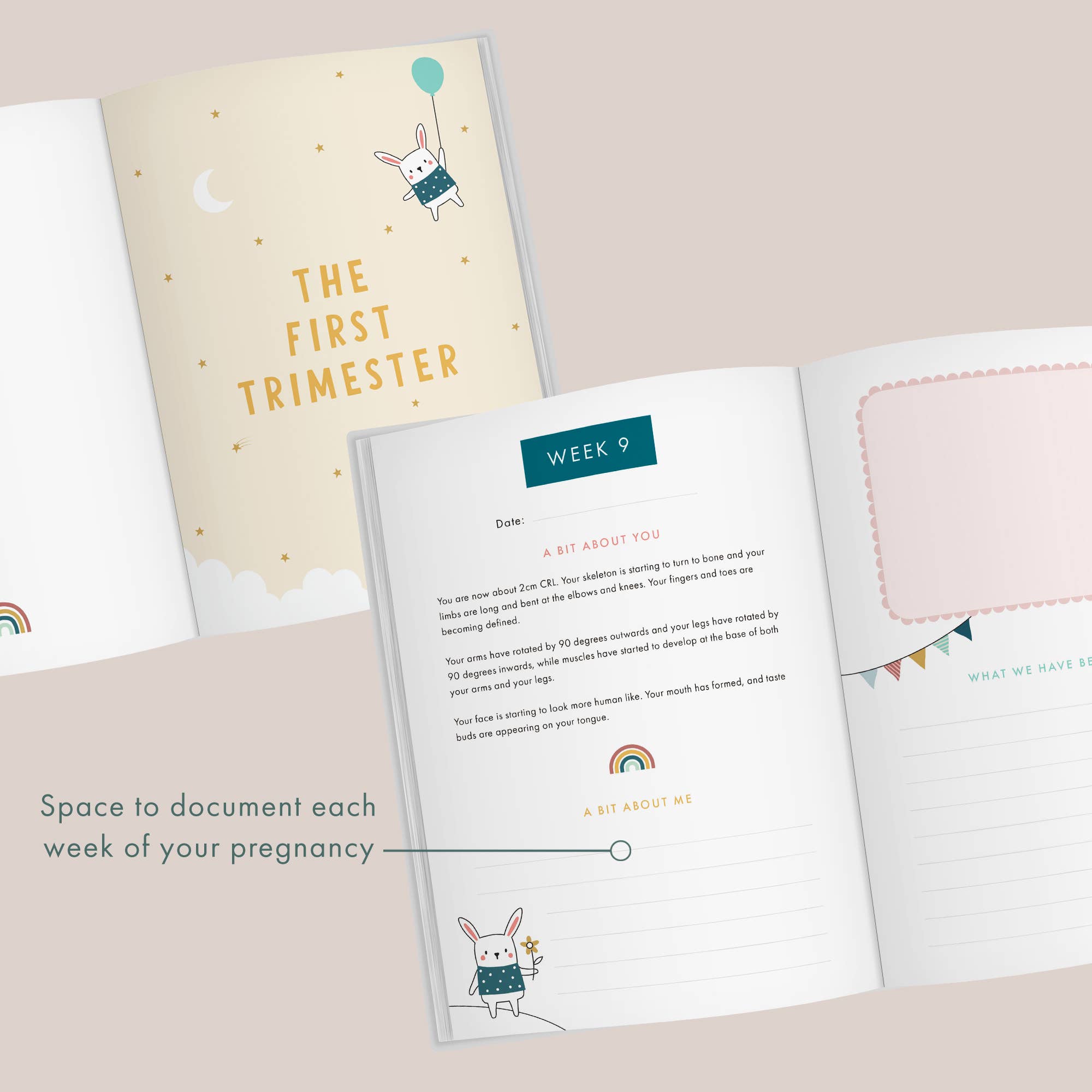 FROM YOU TO ME Meaningful Gifts - Bump to Birthday Pregnancy Journal | Pregnancy Keepsake