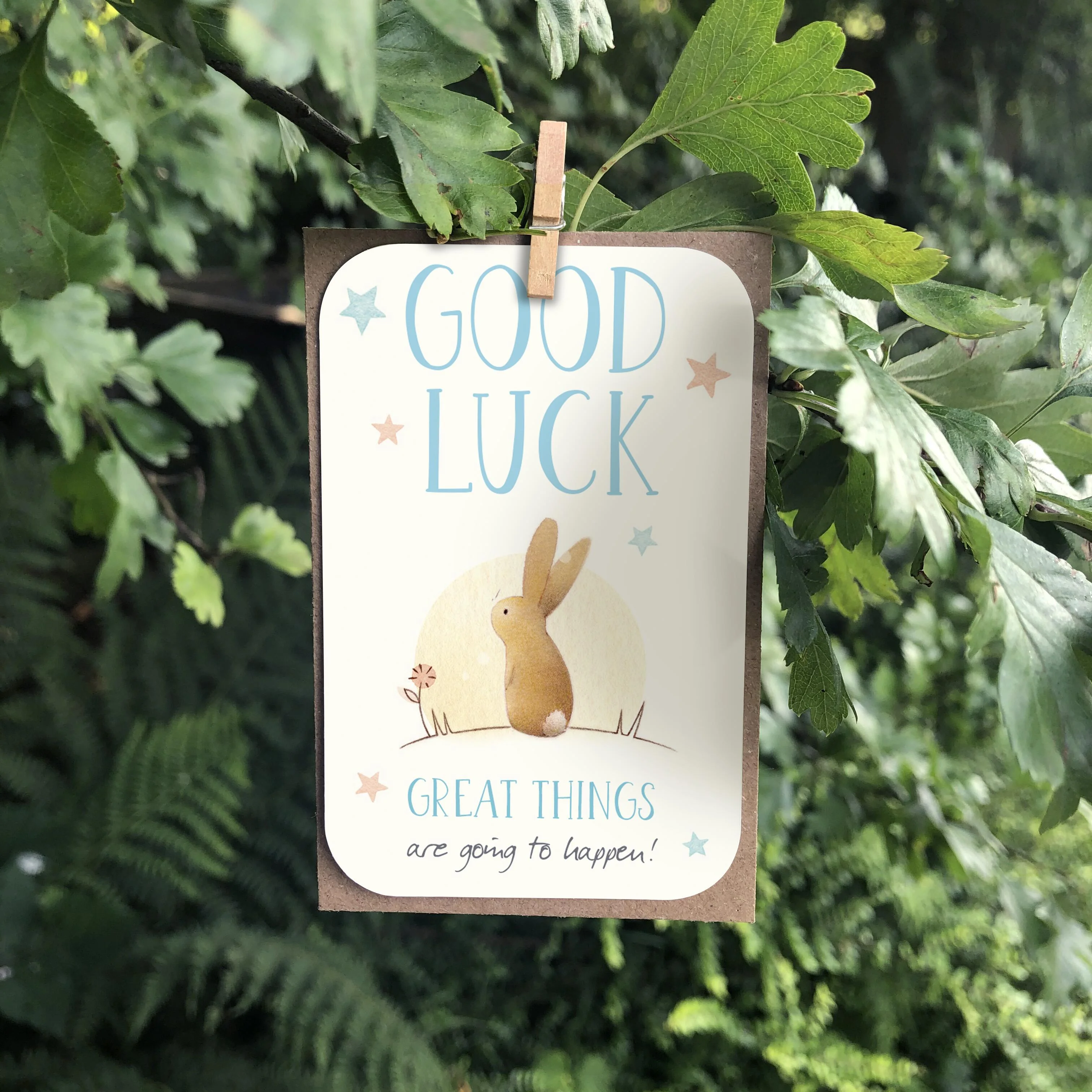 Ginger Betty Good Luck Wallet Card