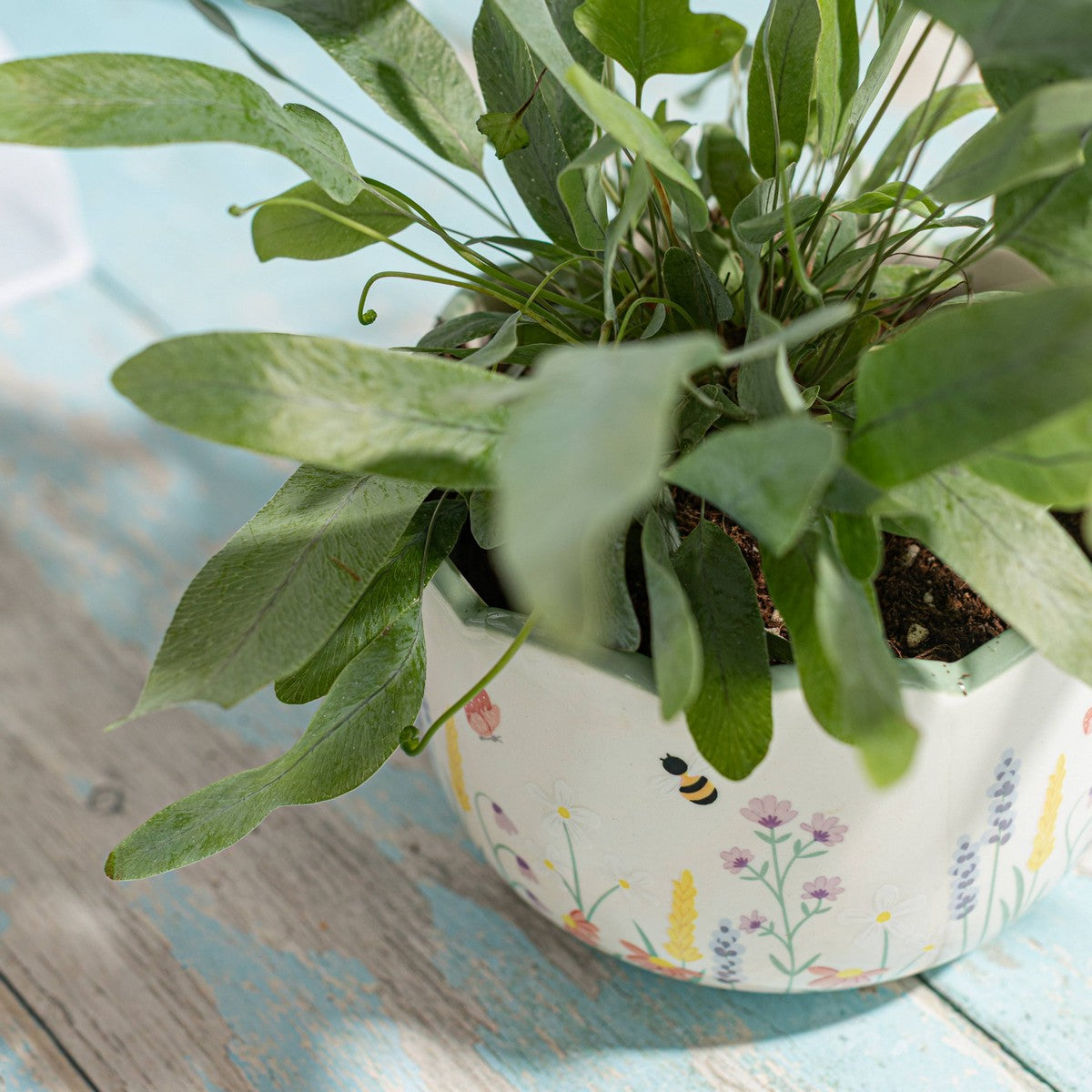 Meadow Floral Planter - More Than Just a Gift | Narborough Hall