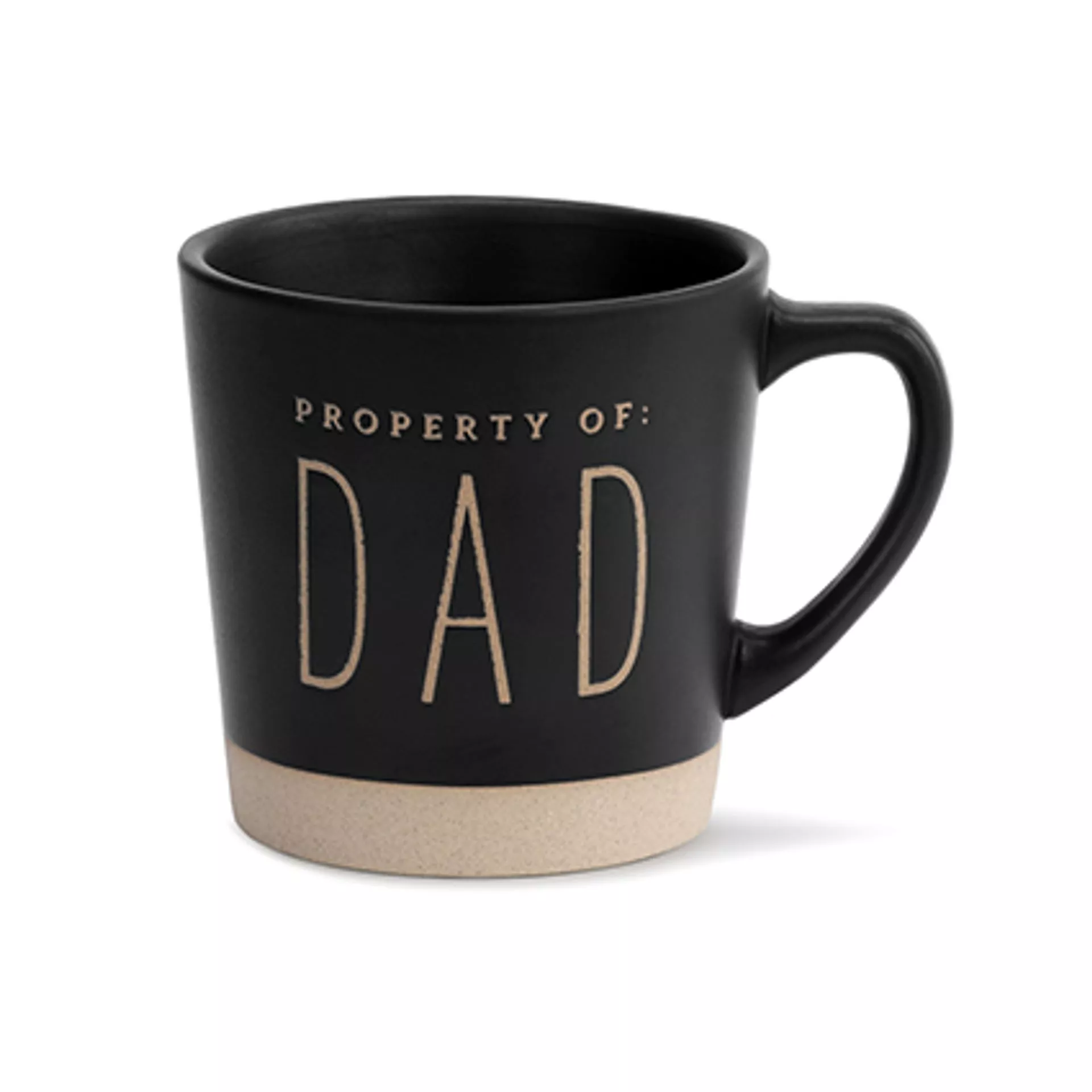 Demdaco Men's Collection Mug - Property of Dad