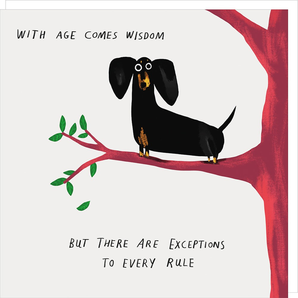 Rosie Made A Thing Wisdom Birthday Card