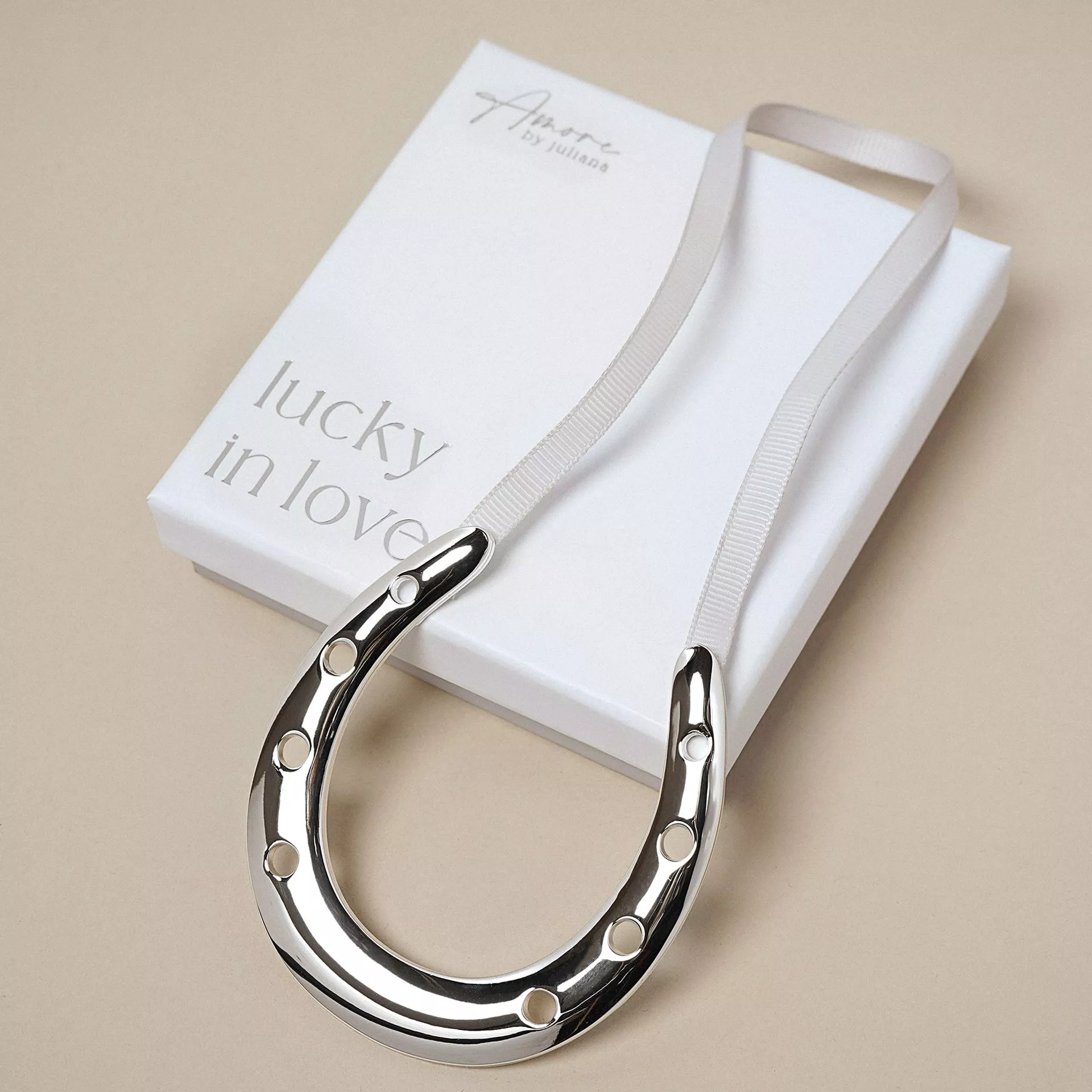 Amore Silver Plated Horseshoe