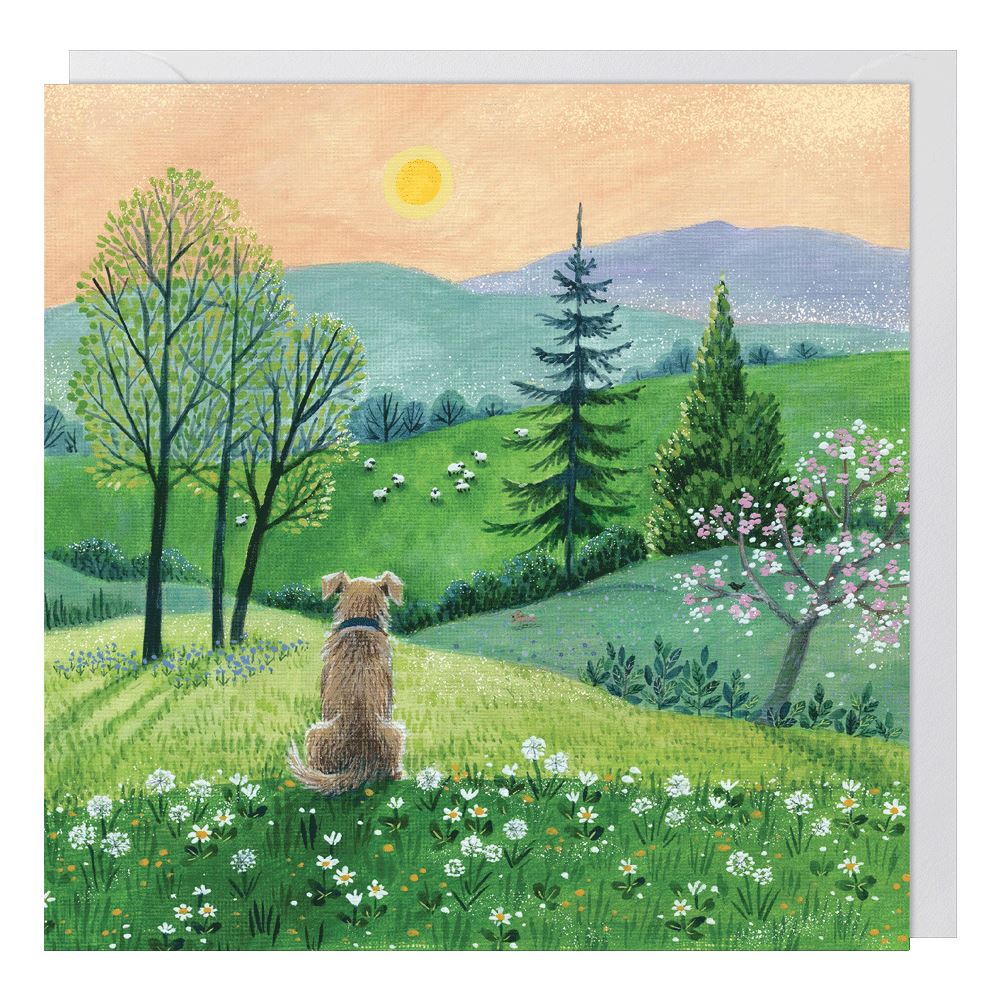 Skylark Dog's View Card