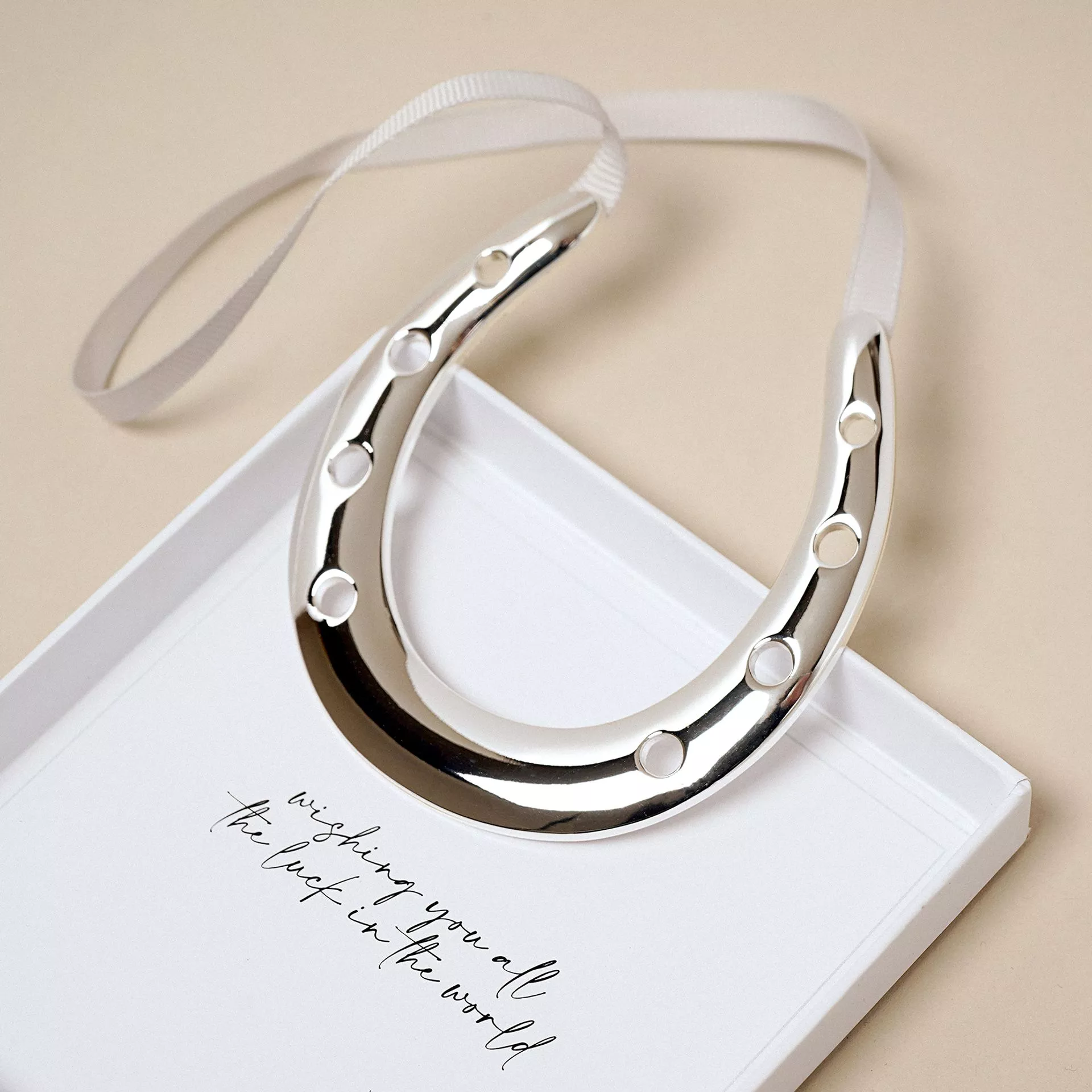 Amore Silver Plated Horseshoe