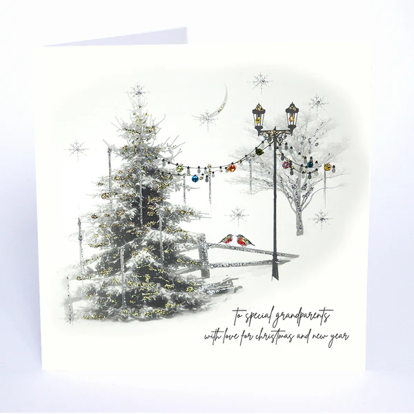 Five Dollar Shake To Special Grandparents Christmas Card