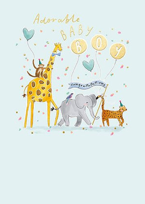 Pick 'N' Mix Adorable Baby Boy Card - More Than Just a Gift | Narborough Hall