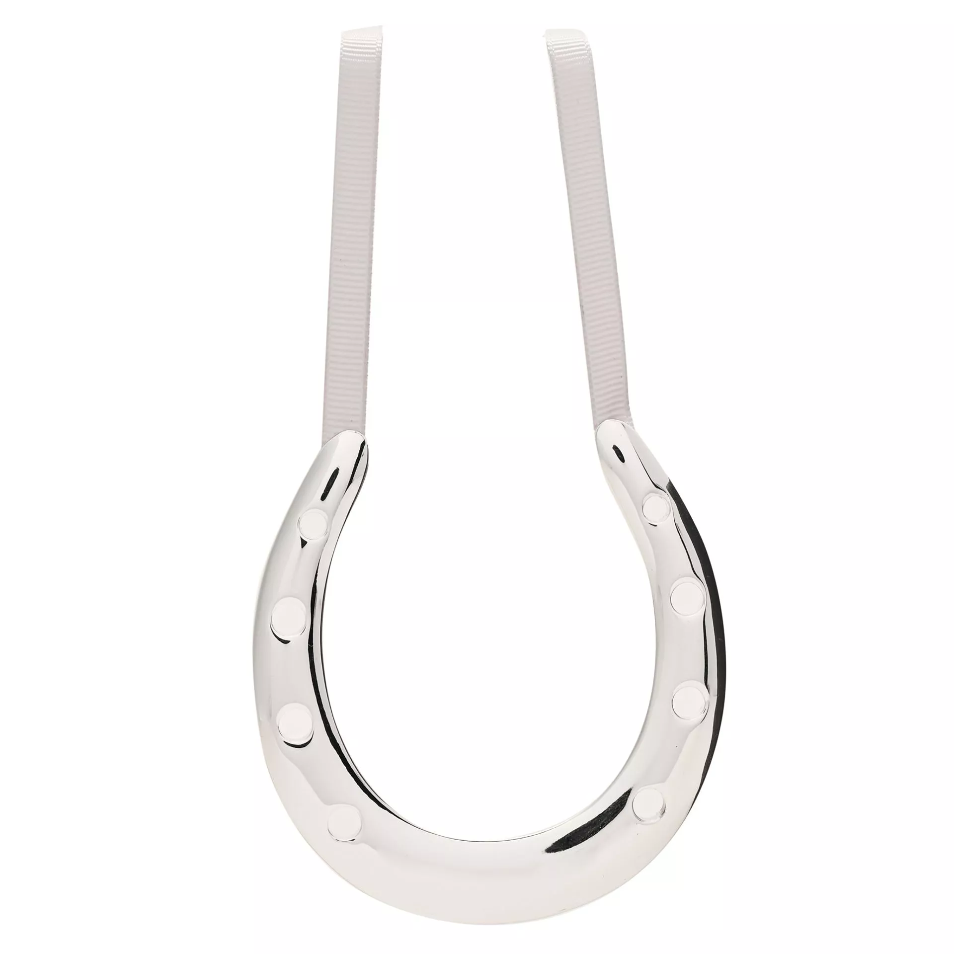 Amore Silver Plated Horseshoe