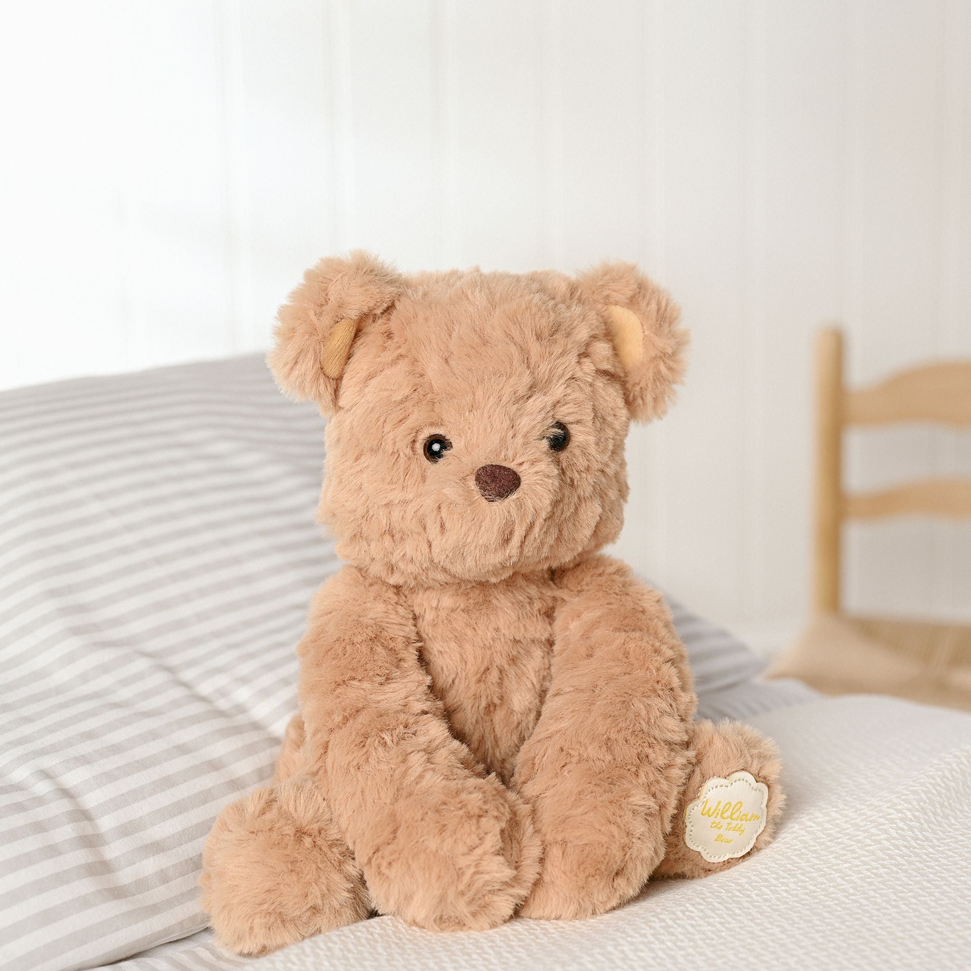 William The Teddy Bear - 22cm