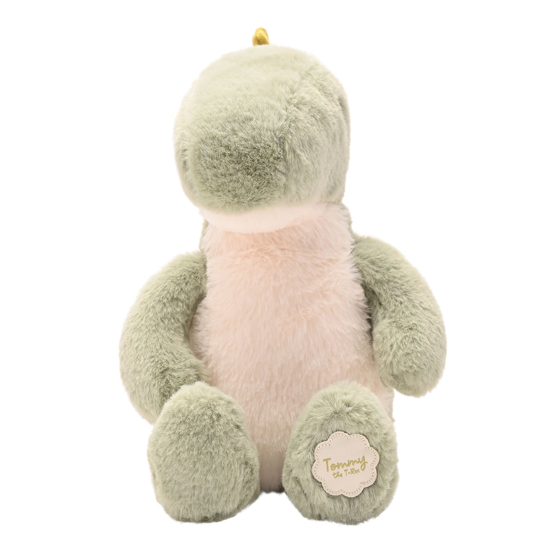 Tommy The Plush Green Dinosaur - 30cm