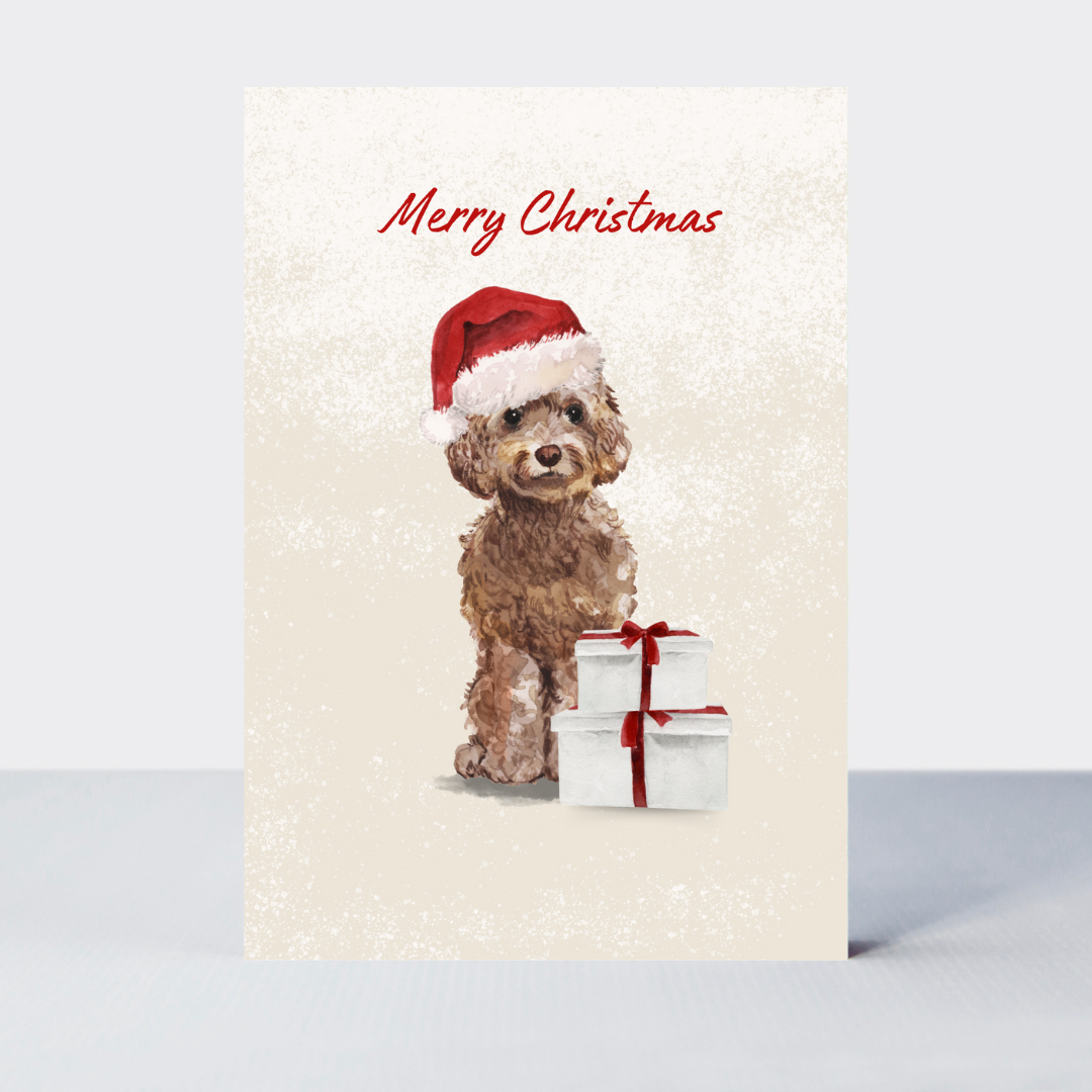 Pawfect Christmas Cockapoo Card
