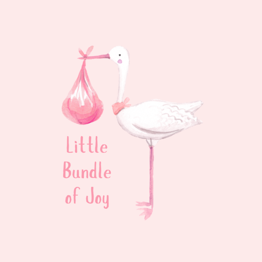 Petimo - Pink Little Bundle of Joy Stork New Baby Girl Card