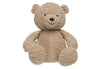 Biscuit Teddy Bear Soft Toy